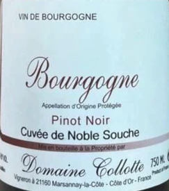 Domaine Collotte Bourgogne Cuvee de Noble Souche 2021